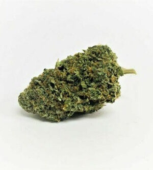 Durban Princess Weed Strain UK