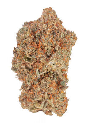 Gushers Cannabis Strain UK