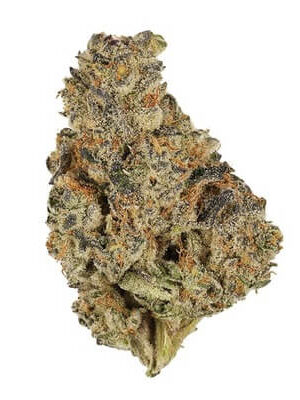 Kush Mints Weed Strain
