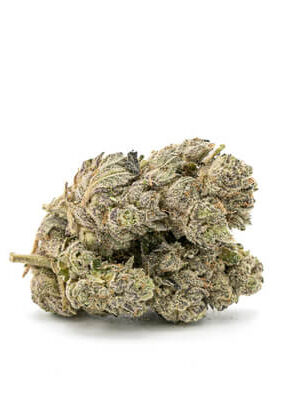 Scooby Snacks Strain UK
