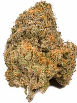 White Durban Cannabis Strain